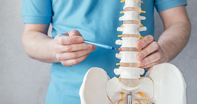 hernia medico con columna vertebral